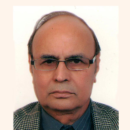 Mr. Vijay Tuli
